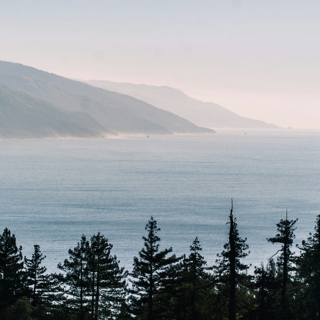 Ocean Glow Wellness, a holistic wellness clinic offering Massage Therapy and red light therapy services, direct billing